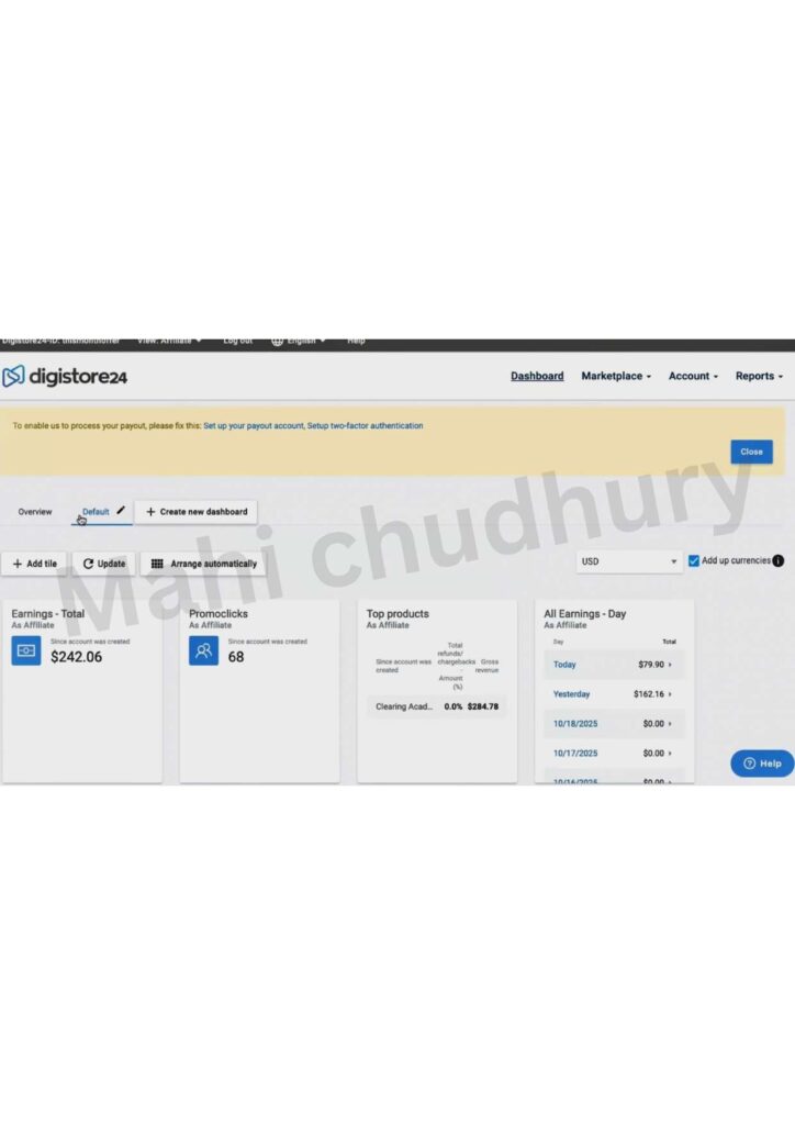 Digistore24 affiliate marketing case study
